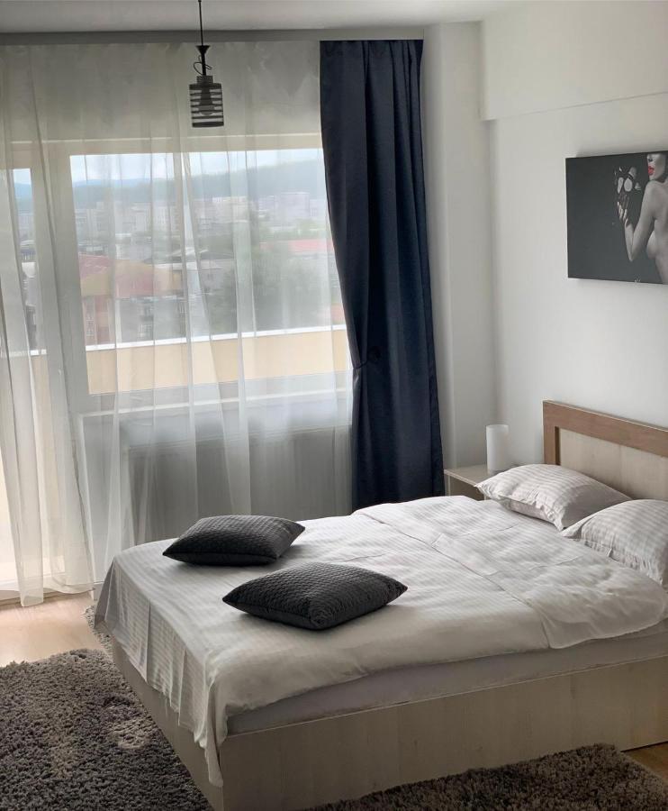 Conest Vision Studio Iasi Eksteriør bilde